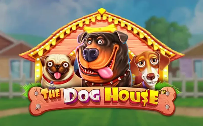 Jogue no The Dog House na Bitbet24.
